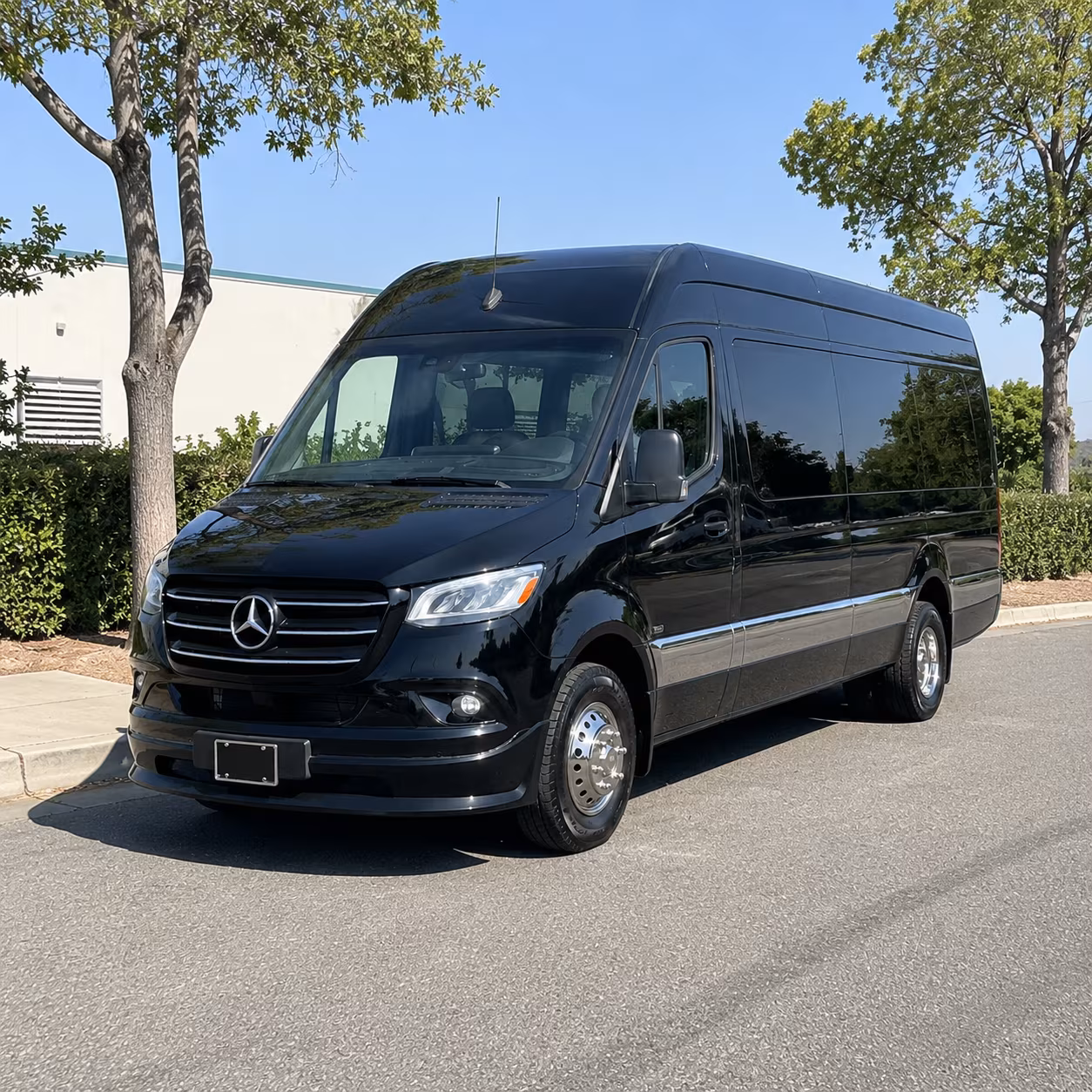 Las Vegas Wedding Transportation & Shuttle Service