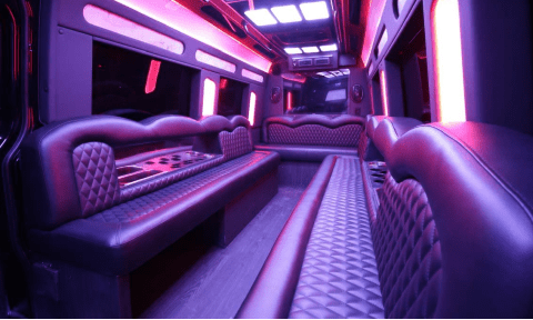 Lake Havasu City 14 Passenger Sprinter Bus Interior